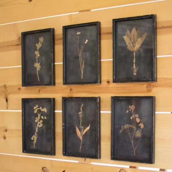 Framed Art-Kirkland's Home Black Botanical Framed Art Prints, Set Of 6 Black/Tan