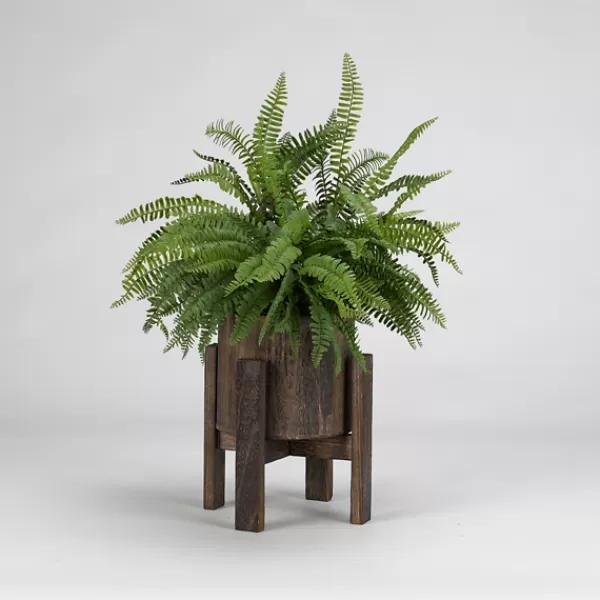 Arrangements & Greenery-Kirkland's Home Boston Fern In Round Wooden Planter With Stand Green