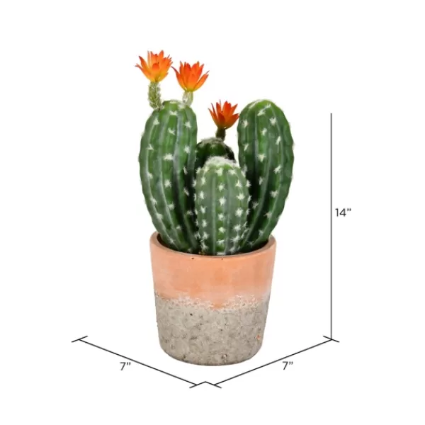 Arrangements & Greenery-Kirkland's Home Cactus In Clay Pot, 14 In. Green