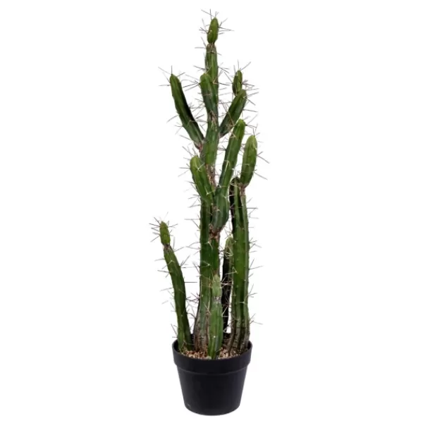 Trees & Topiaries-Kirkland's Home Cereus Cactus In Black Pot, 34 In.