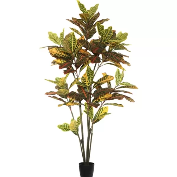 Trees & Topiaries-Kirkland's Home Colorful Croton Tree In Black Planter, 5 Ft.