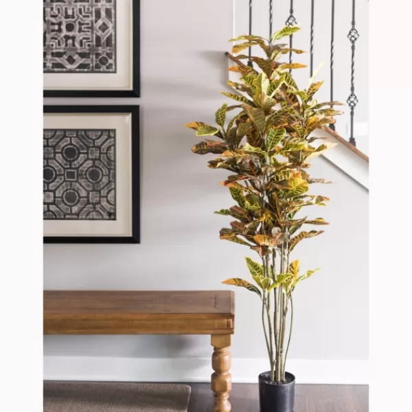 Trees & Topiaries-Kirkland's Home Colorful Croton Tree In Black Planter, 6 Ft.