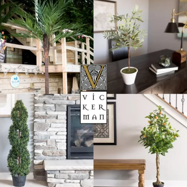 Trees & Topiaries-Kirkland's Home Colorful Croton Tree In Black Planter, 6 Ft.