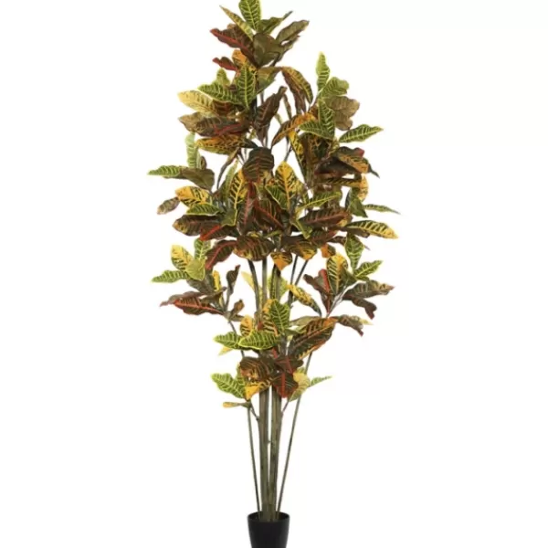 Trees & Topiaries-Kirkland's Home Colorful Croton Tree In Black Planter, 7 Ft.