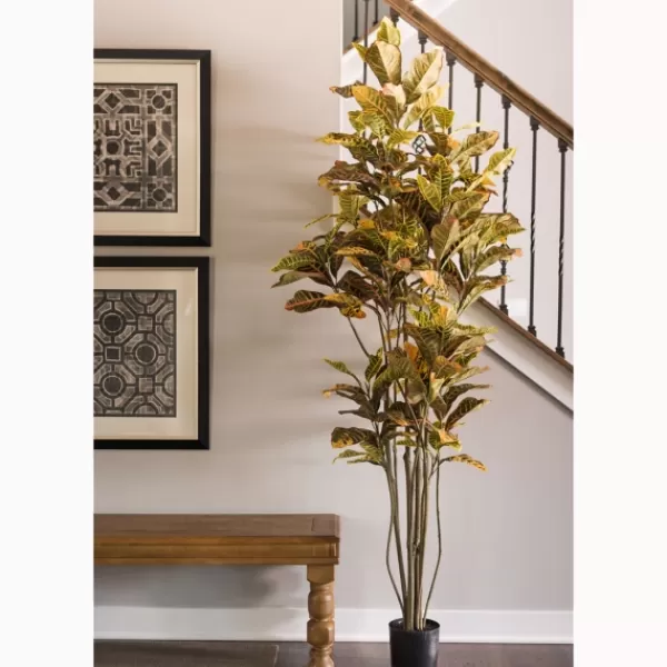 Trees & Topiaries-Kirkland's Home Colorful Croton Tree In Black Planter, 7 Ft.