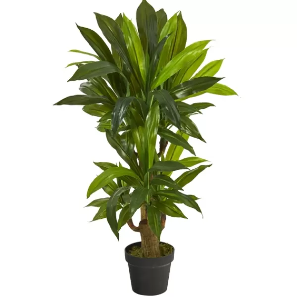 Trees & Topiaries-Kirkland's Home Corn Stalk Dracaena Plant In Black Planter