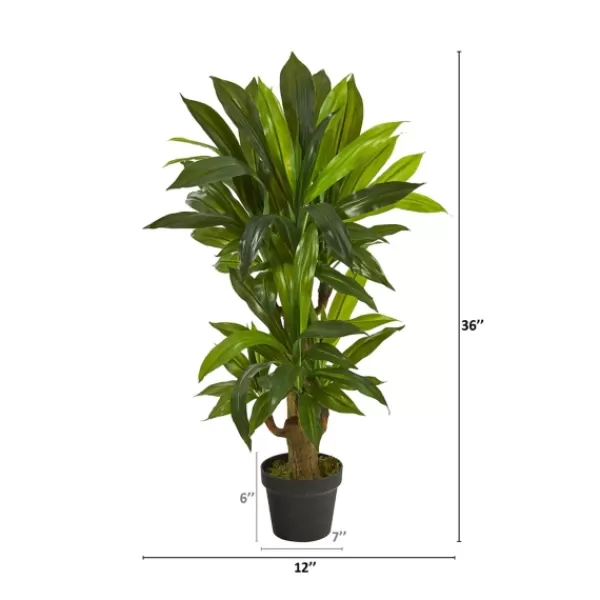 Trees & Topiaries-Kirkland's Home Corn Stalk Dracaena Plant In Black Planter