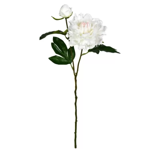 Stems & Bouquets-Kirkland's Home Cream Blooming Peony Stems, Set Of 6 Ivory