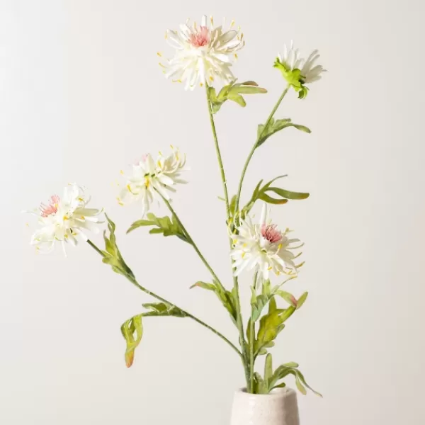Stems & Bouquets-Kirkland's Home Cream Wild Daisy Stem Ivory