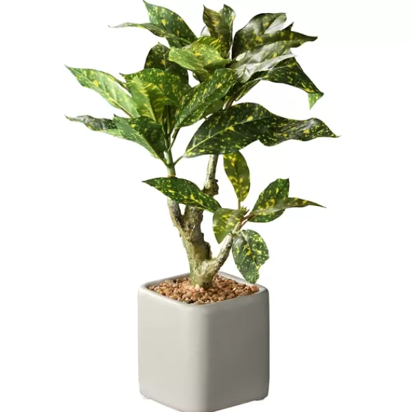 Arrangements & Greenery-Kirkland's Home Croton Arrangement In Ceramic Planter Green