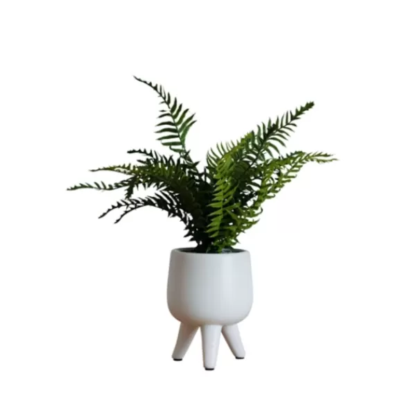 Arrangements & Greenery-Kirkland's Home Desktop Palm Plant In White Planter Green/White