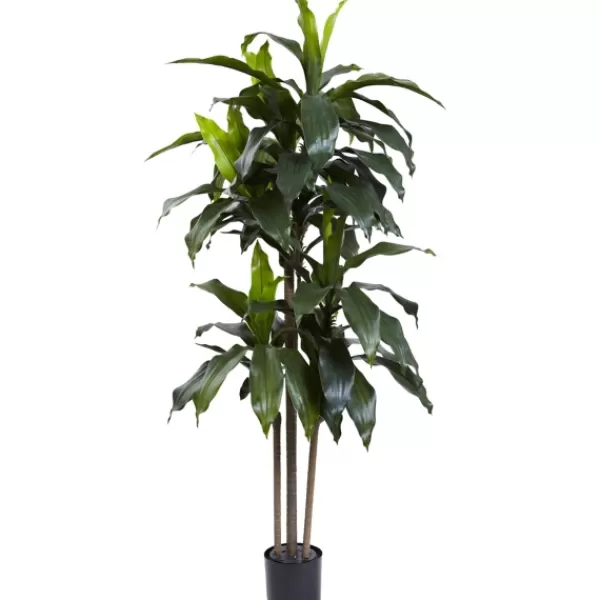 Trees & Topiaries-Kirkland's Home Dracaena Uv Resistant Plant