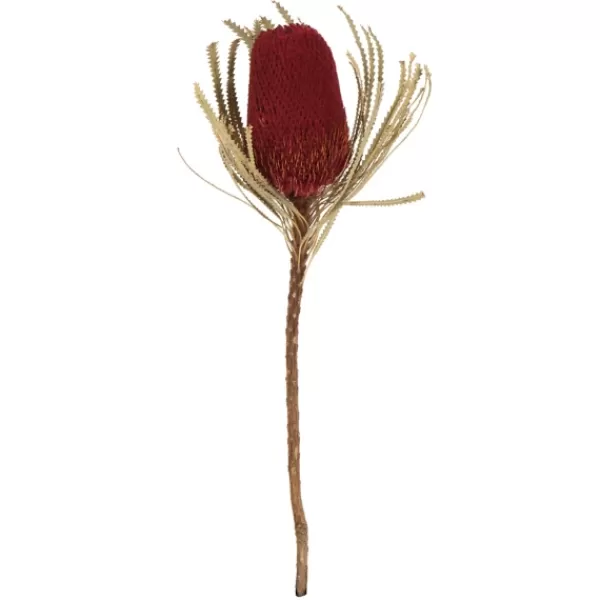 Stems & Bouquets-Kirkland's Home Dried Jumbo Banksia Stems, Set Of 3 Red