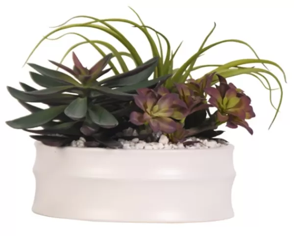 Arrangements & Greenery-Kirkland's Home Echeveria Mix In Modern White Bowl Green/Purple/White
