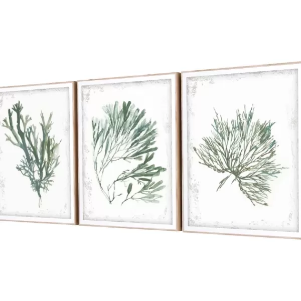 Framed Art-Kirkland's Home Emerald Coral I 3-Pc. Framed Art Print Set White/Green