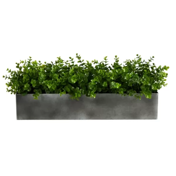 Arrangements & Greenery-Kirkland's Home Eucalyptus Arrangement In Gray Planter Box Green/Gray