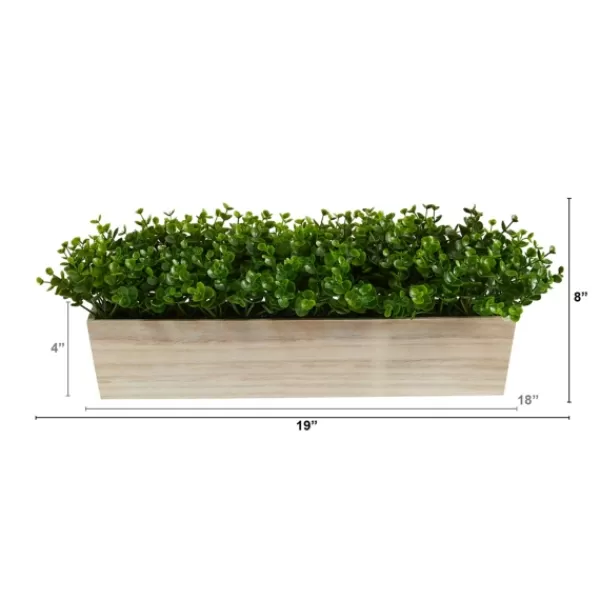 Arrangements & Greenery-Kirkland's Home Eucalyptus Arrangement In Wide Wooden Planter Green/Tan