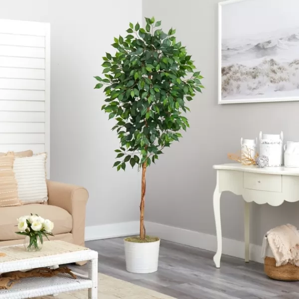 Trees & Topiaries-Kirkland's Home Ficus Tree With Moss In White Tin Planter