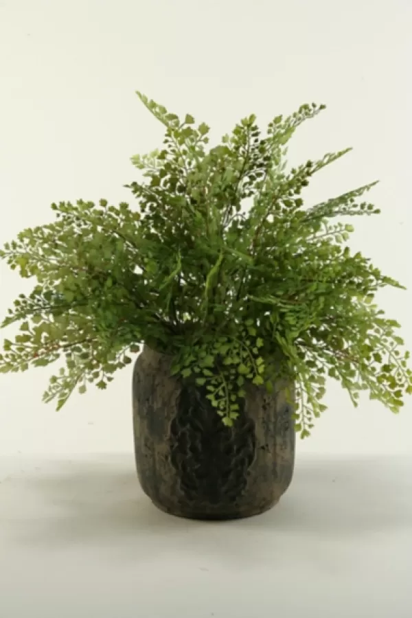 Arrangements & Greenery-Kirkland's Home Flat Iron Fern Arrangement In Antiqued Planter Green