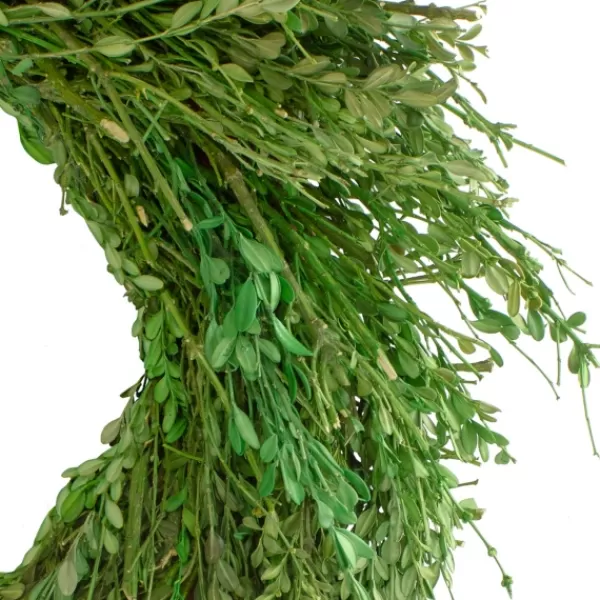 Wreaths-Kirkland's Home Foliage Spring Wreath Green