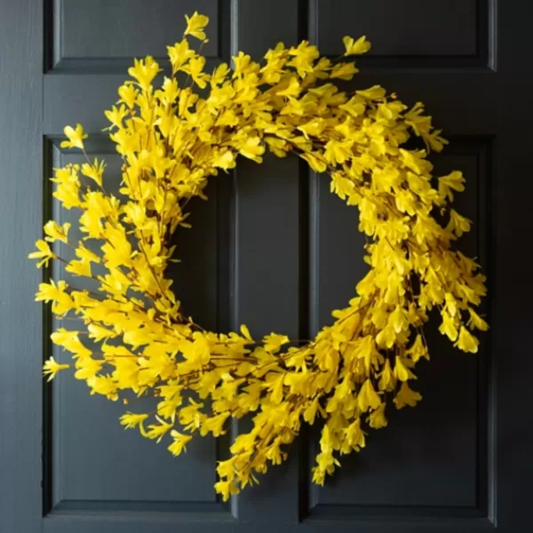 Wreaths-Kirkland's Home Forsythia Flowers Wreath Yellow