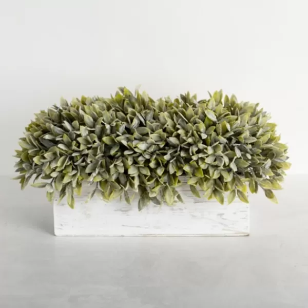 Arrangements & Greenery-Kirkland's Home Frosted Sage Arrangement In Wooden Box Green