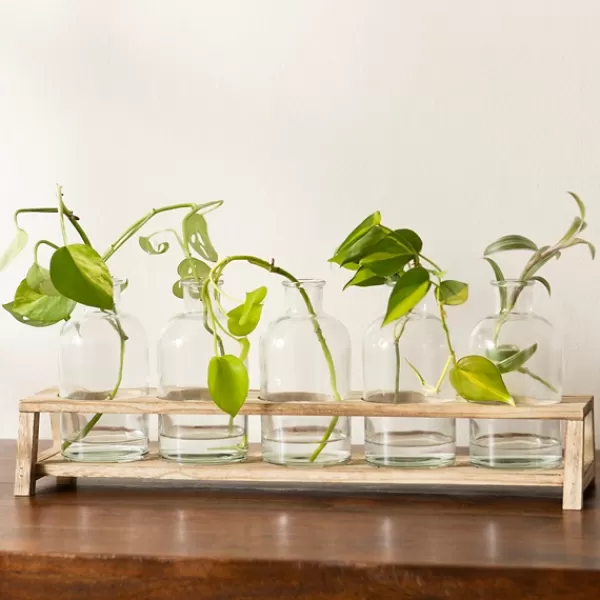 Vases-Kirkland's Home Glass Bottle Vase And Crate 5-Pc. Set Clear