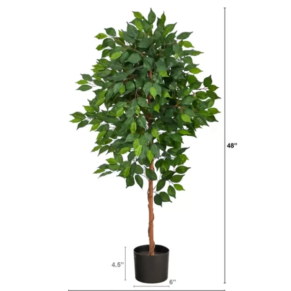 Trees & Topiaries-Kirkland's Home Glossy Leaf Ficus Tree In Black Nursery Planter