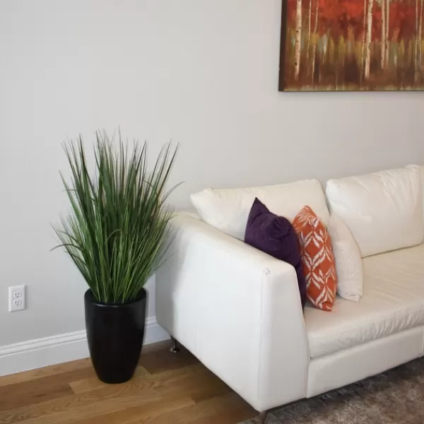 Arrangements & Greenery-Kirkland's Home Grass Arrangement In Black Cement Pot Green/Black