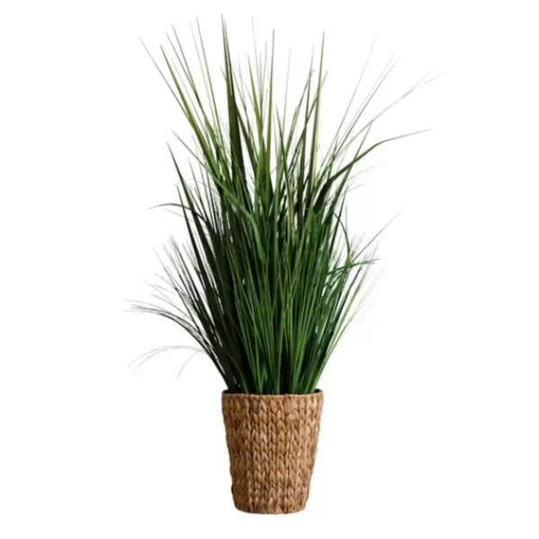 Arrangements & Greenery-Kirkland's Home Grass Arrangement In Natural Woven Basket Green