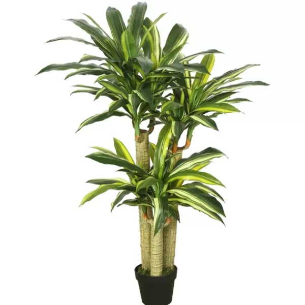 Trees & Topiaries-Kirkland's Home Green Dracaena Tree In Black Planter