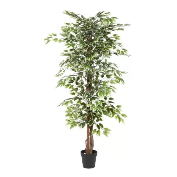 Trees & Topiaries-Kirkland's Home Green Ficus Potted Tree, 73 In.