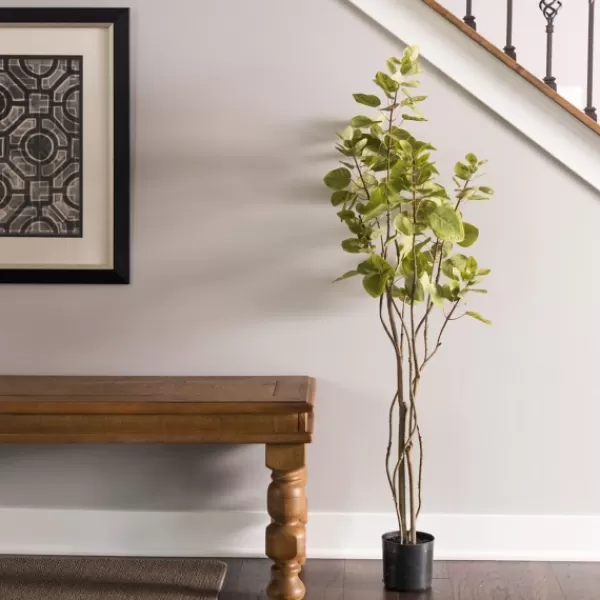 Trees & Topiaries-Kirkland's Home Green Potted Cotinus Coggygria Tree, 4 Ft.