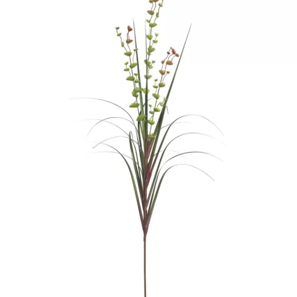 Trees & Topiaries-Kirkland's Home Green Potted Eucalyptus Grass, 24 In.