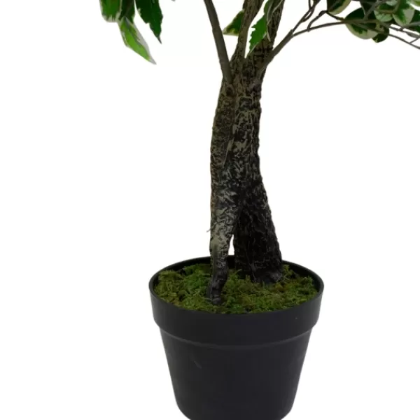 Trees & Topiaries-Kirkland's Home Green Variegated Leaf Ficus Tree
