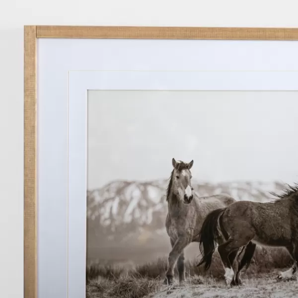 Framed Art-Kirkland's Home Horse Friends Framed Art Print Black/White