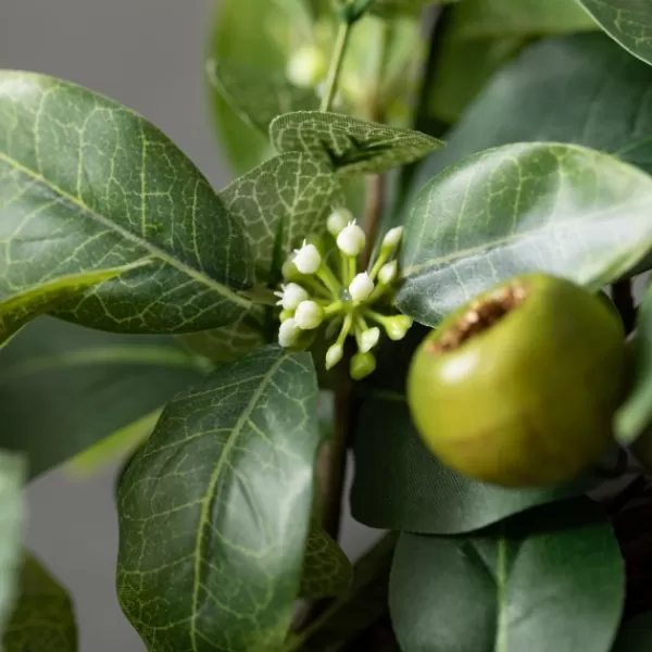 Wreaths-Kirkland's Home Israeli Ruscus Pods Wreath Green