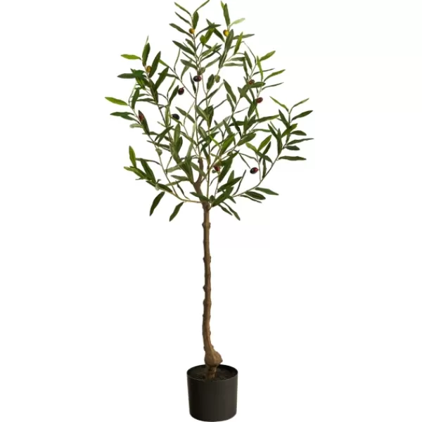 Trees & Topiaries-Kirkland's Home Italian Olive Tree In Black Nursery Planter, 4 Ft.
