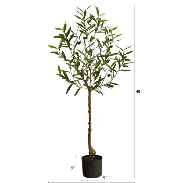 Trees & Topiaries-Kirkland's Home Italian Olive Tree In Black Nursery Planter, 4 Ft.