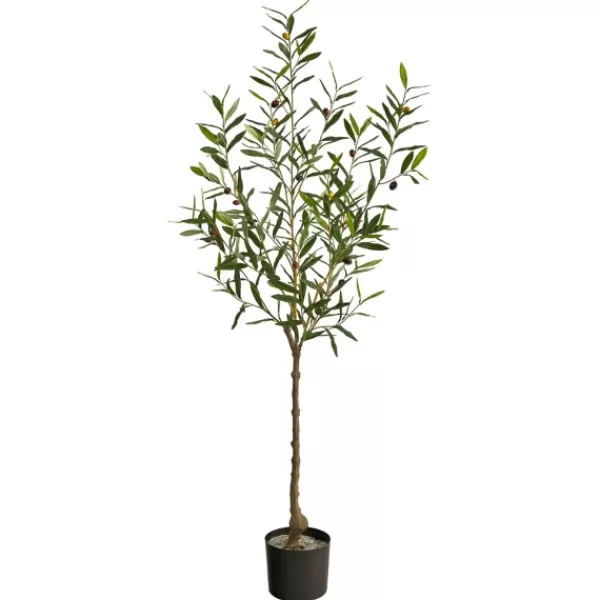 Trees & Topiaries-Kirkland's Home Italian Olive Tree In Black Nursery Planter, 5 Ft.