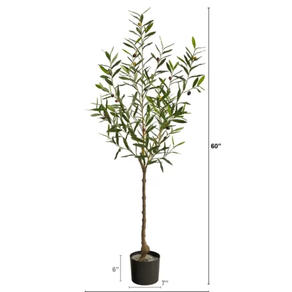Trees & Topiaries-Kirkland's Home Italian Olive Tree In Black Nursery Planter, 5 Ft.