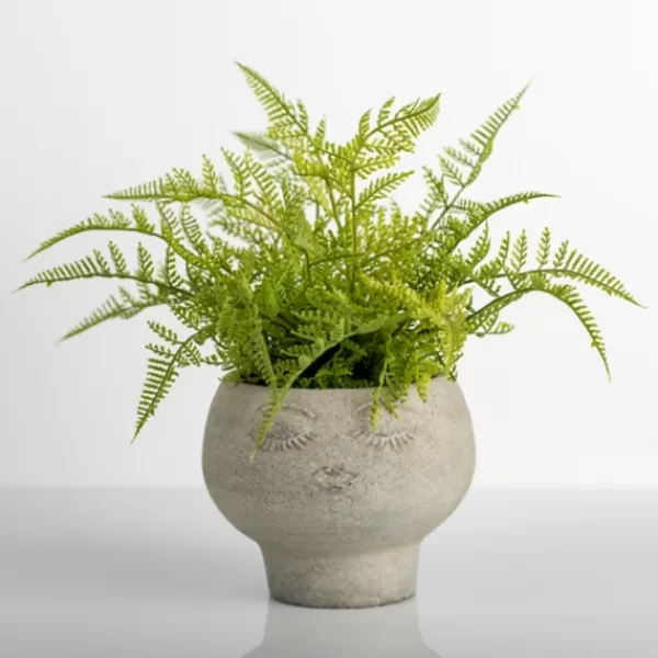 Arrangements & Greenery-Kirkland's Home Lace Fern Plant In Face Planter Green/Gray