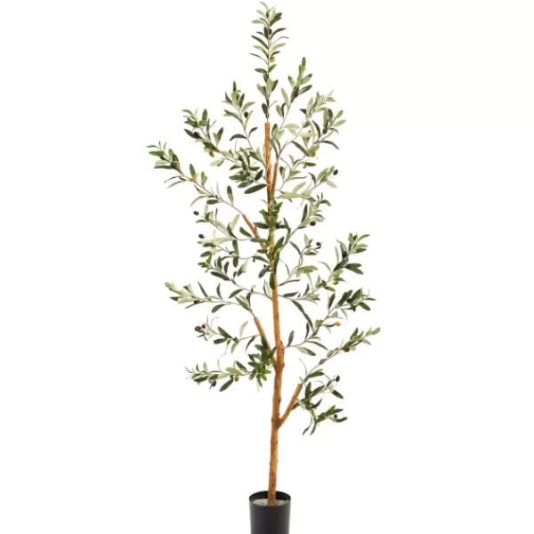 Trees & Topiaries-Kirkland's Home Lucky Olive Tree In Nursery Planter, 54 In.