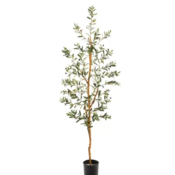 Trees & Topiaries-Kirkland's Home Mediterranean Olive Tree In Black Planter, 70 In.