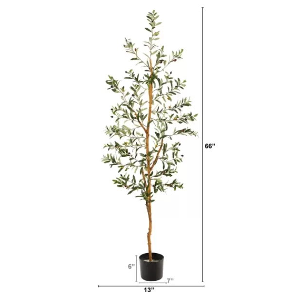 Trees & Topiaries-Kirkland's Home Mediterranean Olive Tree In Black Planter, 70 In.