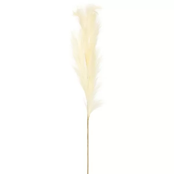 Stems & Bouquets-Kirkland's Home Natural Cream Pampas Grass Stems, Set Of 4 Ivory
