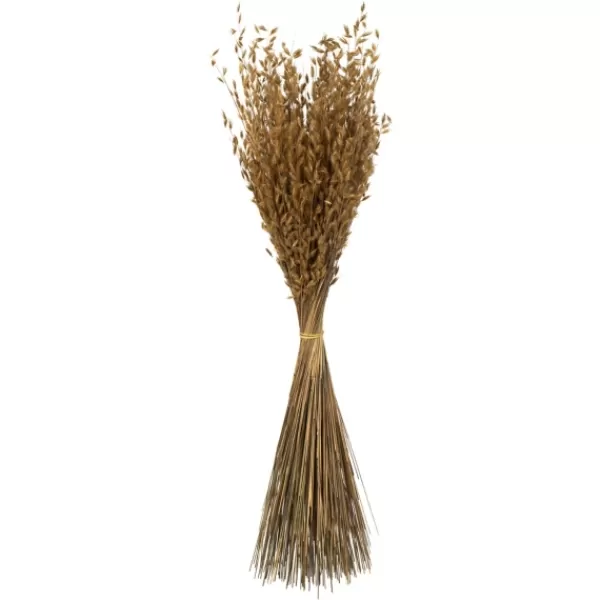 Stems & Bouquets-Kirkland's Home Natural Dried Princess Grass Bundles, Set Of 3 Tan