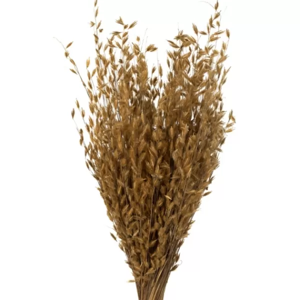 Stems & Bouquets-Kirkland's Home Natural Dried Princess Grass Bundles, Set Of 3 Tan