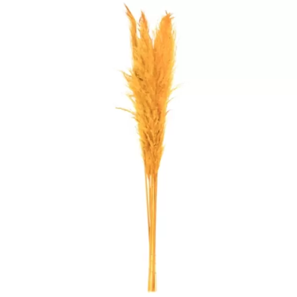 Stems & Bouquets-Kirkland's Home Natural En Pampas Grass Stems, Set Of 6 Gold