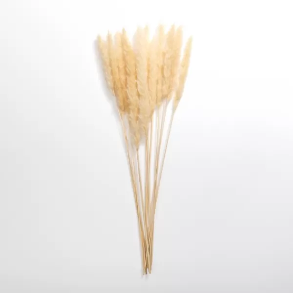 Stems & Bouquets-Kirkland's Home Natural Pampas Bundle Tan